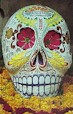 Skulls of relatives were kept by the Aztecs