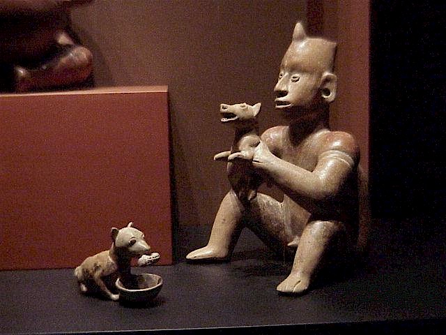 Dog eating corn; boy playing with dog