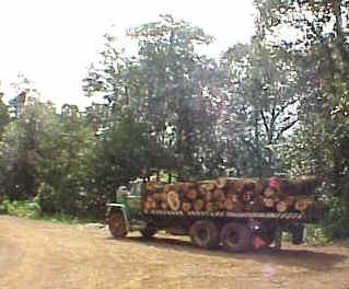 Logging truck has a 2-hour ride down to the main highway