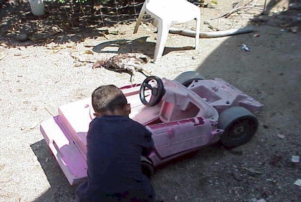 Chilren pay no attention to the fallen wariror