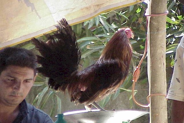 Comfortable with being weighed in