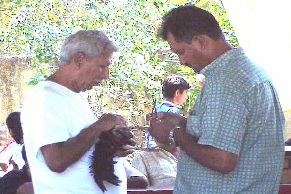 The blade must be secure, but not so tight as to impede circulation