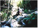 Crossing creeks and small streams