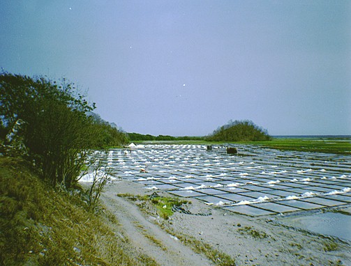 salt fields near Manzanillo