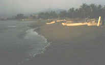 San Pedritos in tropical Manzanillo, Mexico