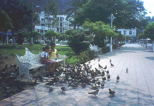 Feeding pigeons at the Jardin in Manzanillo