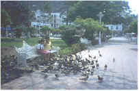 feeding pigeons at the Jardin