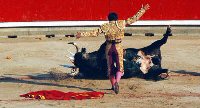 End of a bullfight