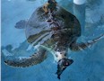 It is feeding time for the turtles at the sanctuary.