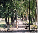 Parque Hidalgo in Colima