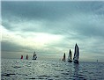 San Diego to Manzanillo Yacht Race